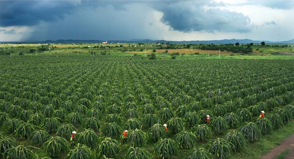 Hàm Thuận Nam